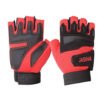 Gym Gloves